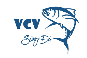 vcv-song-da