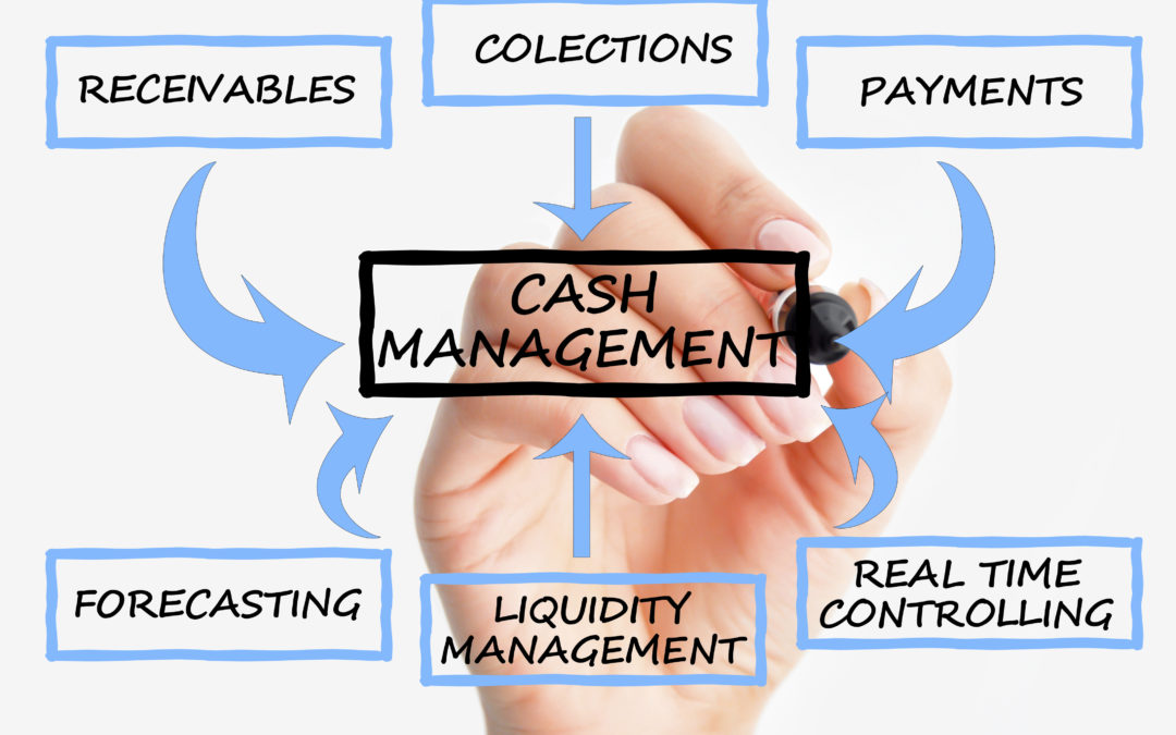 Cash Flow Management Service GA Advisor