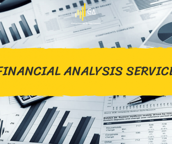 financial analysis service for small and medium enterprises| GA Advisor Vietnam
